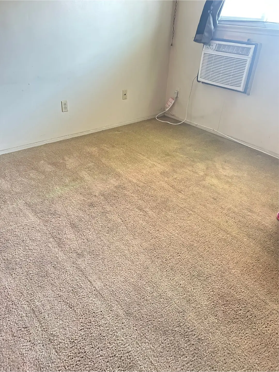 The same carpeted room with a lighter, more even-looking carpet after cleaning